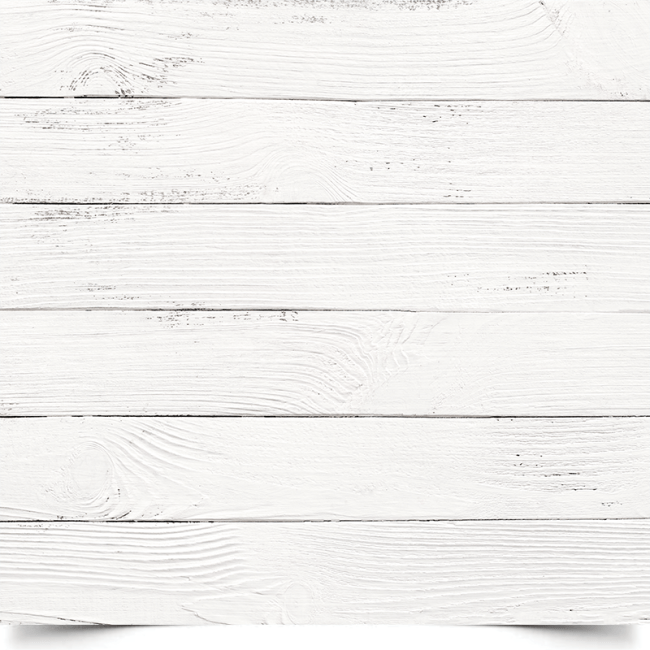 Вініловий фотофон «White wood» (Біле дерево)