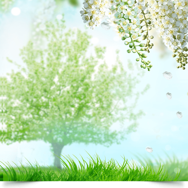 Вініловий фотофон Весняний сад (Spring Bloom)