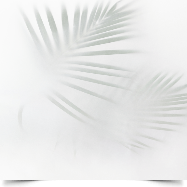 Вініловий фон для фотозйомки «Leaves on White» (тіні пальмового листя)