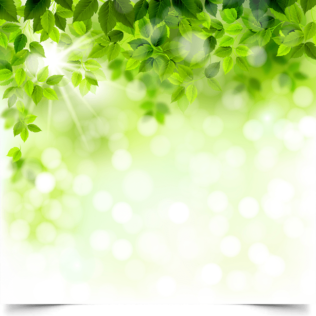 Вініловий фон для фотозйомки «Green Leaves» (свіжа зелень та сонячне боке)