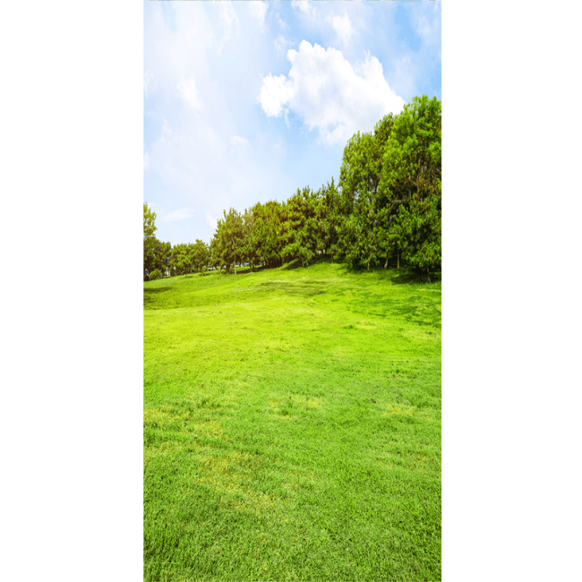 Вініловий фотофон «Sunny Meadow: Summer Park»